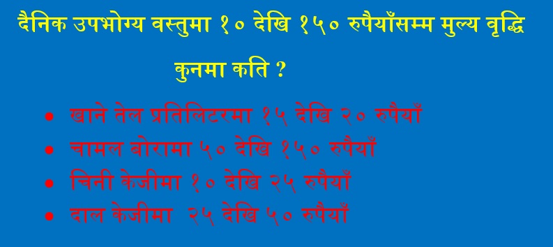 व्यवसायीहरुको आफूखुसी बजार मूल्यले महङ्गो भयो उपभोक्ताको भान्सा