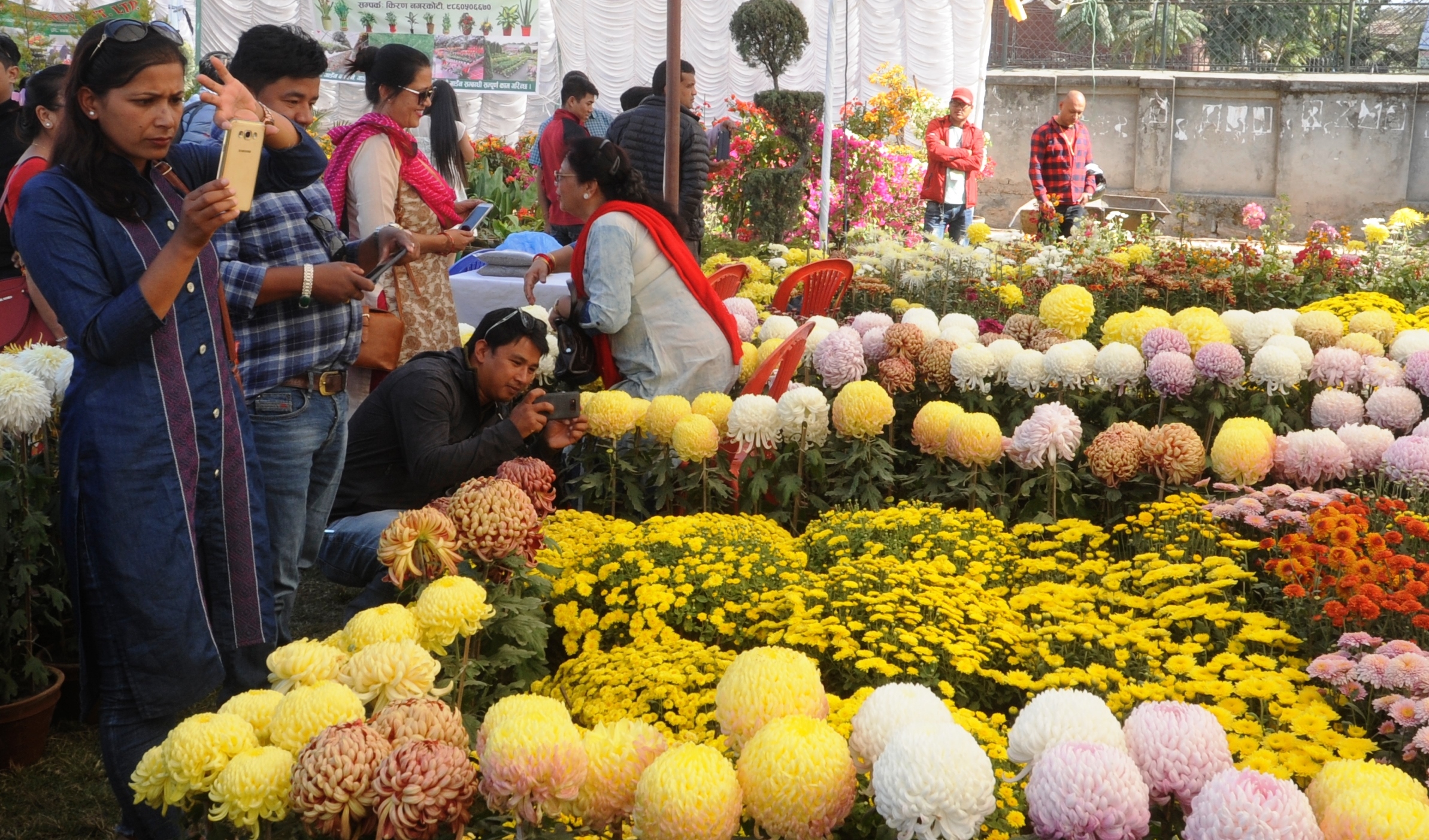 पुष्प मेला अवलोकन गर्नेको भिड, ५० लाख बढीको कारोबार