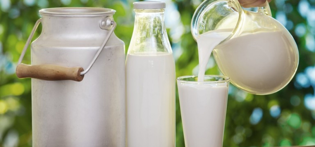 डेरी व्यवसायीले एकतर्फी रूपमा १४ रुपैयाँसम्म बढाए दूधको मूल्य