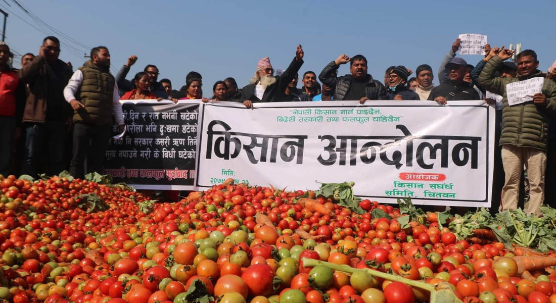 तरकारीमा बिचौलियाको बिगबिगी, लागत उठाउनै धौ–धौ