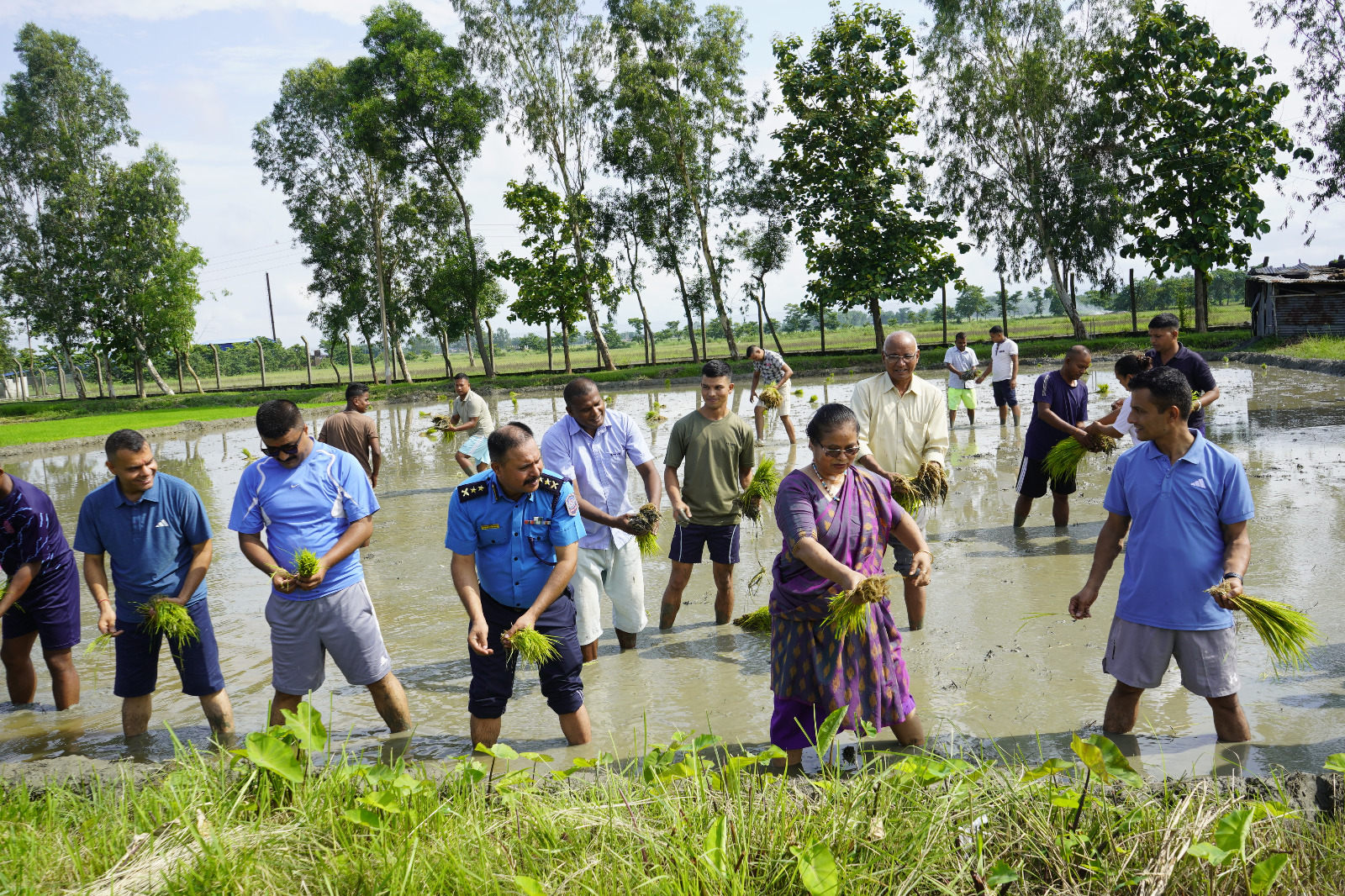 धान दिवसले किसान र कृषिलाई प्रोत्साहन गर्छः महिला मन्त्री चौधरी