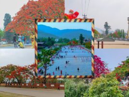 शान्त वीरेन्द्रनगर, ढकमक्क गुल्मोहर [तस्बिरहरु]