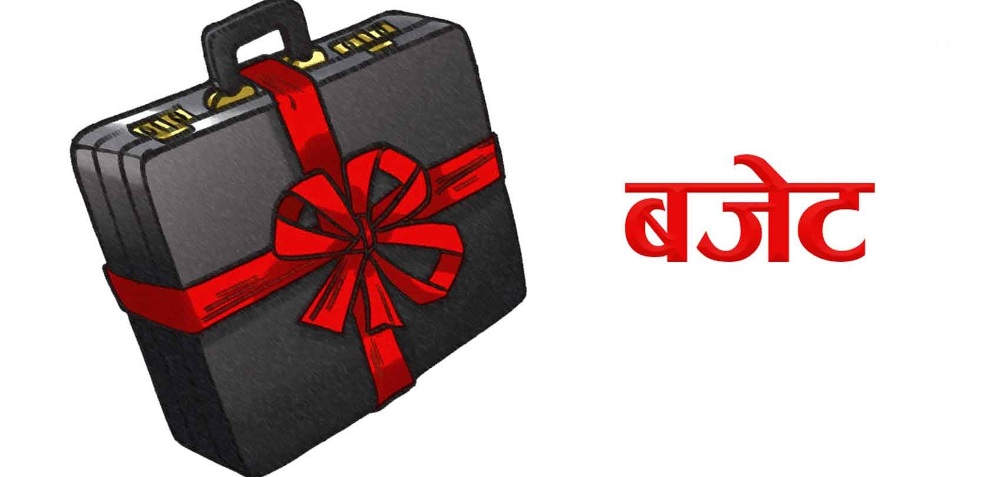 ताप्लेजुङका पाँच स्थानीय तहकाे दुई अर्ब ५० करोड ९२ लाख १६ हजार ७९१ को बजेट सार्वजनिक