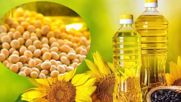 भारतको आयात शुल्क घटाउने निर्णयले नेपाली तेल उद्योग संकटमा