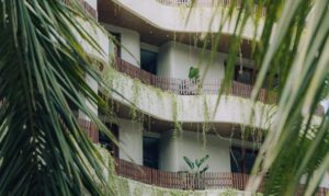 ७० करोडको बगैंचा रिसोर्ट : जसले एकल महिला र  राउटेहरुलाई सक्षम बनाउँदैछ