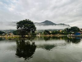 नागपञ्चमीका अवसरमा टौदहमा पूजा आराधना