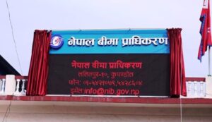 जीवन बीमा कम्पनीहरूमा निष्क्रिय बीमालेखको संख्या बढ्दो: ११ महिनामा साढे ३५ अर्ब बढीको बीमालेख नविकरण भएनन्