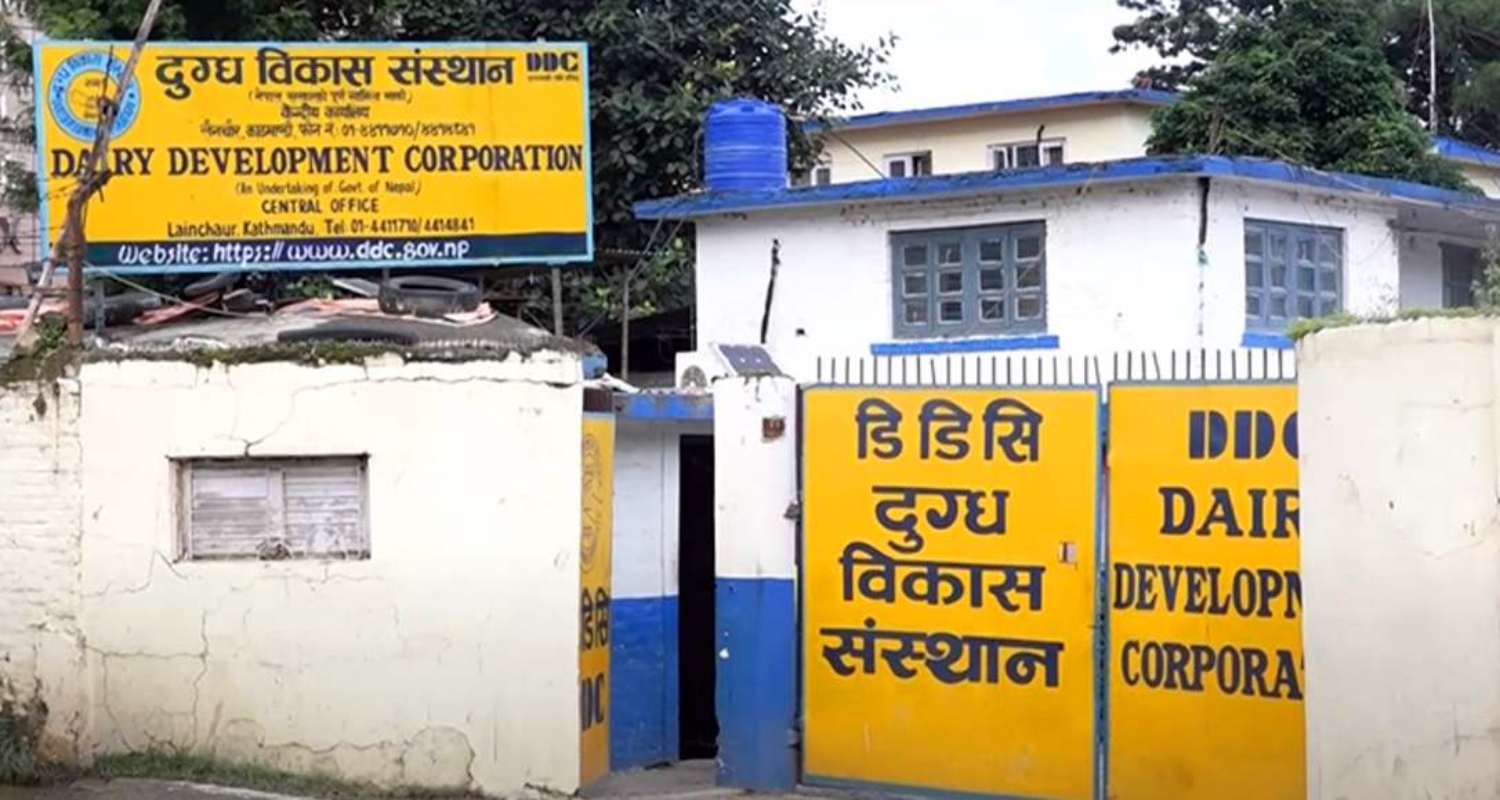 दूधको भुक्तानी नपाएपछि किसान सडकमा
