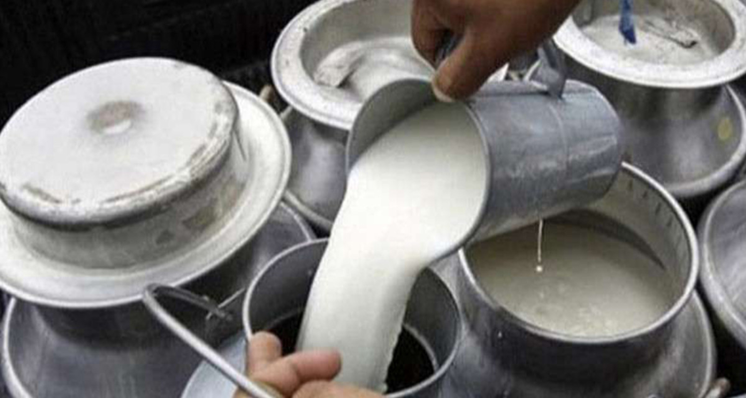 गोरखामा दूध उत्पादनमा किसानलाई नगद प्रोत्साहन