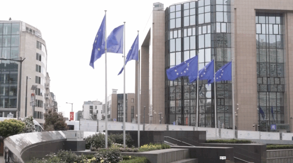 ट्रम्प र जेलेन्स्की बिच ह्वाइट हाउसमा द्विपक्षीय भेटवार्ता