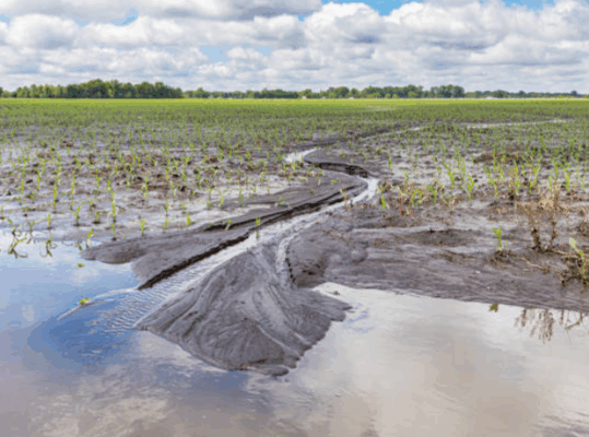 भारी वर्षाबाट कृषि र पशुपालनमा क्षति, विवरण संकलन सुरु
