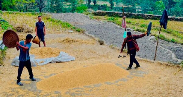 पर्वत कृषि निर्यातमा ६५० मिलियनभन्दा बढी आम्दानी