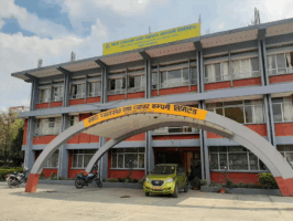 १९ हजार मेट्रिक टन धान खरिद गर्ने तयारीमा खाद्य कम्पनी