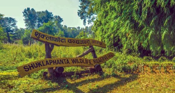 शुक्लाफाँटा राष्ट्रिय निकुञ्जमा जंगल सफारी पुनः सुरु
