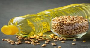 भटमास तेल व्यापारमा उछाल: तीन महिनामै आयात ४.६ गुणा, निर्यात ३२ गुणा वृद्धि