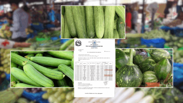 हरियो फर्सी, काँक्रो र घिरौँलामा भेटियो अत्यधिक विषादी,  उपभोक्ता सतर्क बन्नुपर्ने