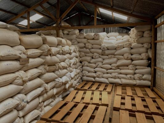 कर्णालीमा दसैँ अवधिमा एक करोड बढीको खाद्यान्न बिक्री