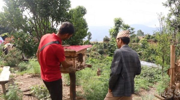 व्यावसायिक मौरीपालनमा किसान आकर्षित