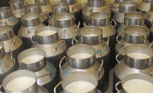 म्याग्दीको सिंगामा उत्पादित दूध पोखरामा
