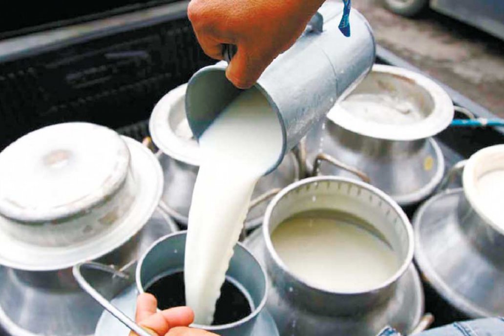 चाडपर्वमा दूध र दुग्धजन्य पदार्थको स्वच्छतामा ध्यान दिन महानगरको आग्रह