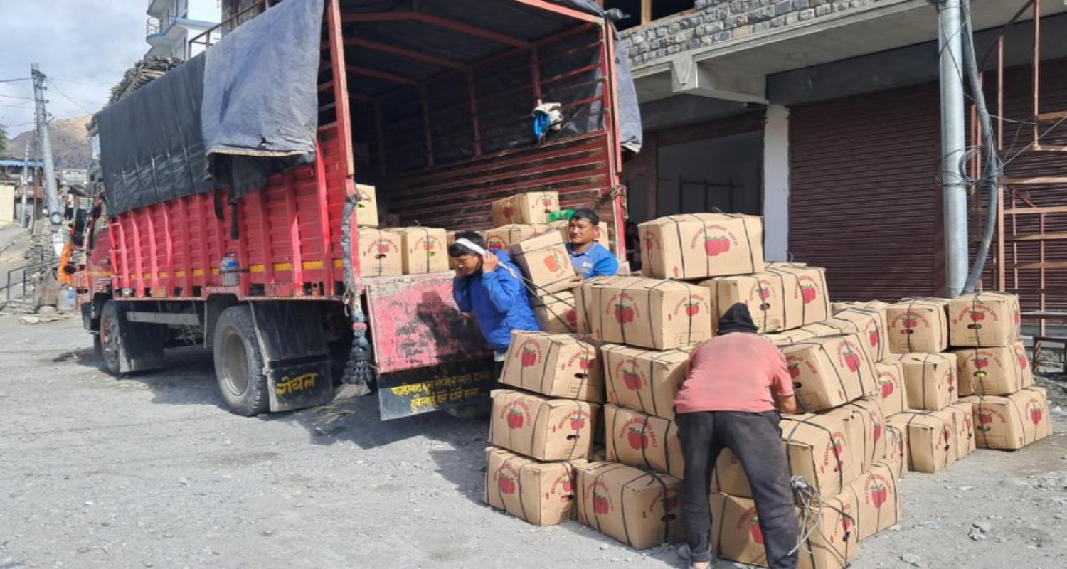 मुस्ताङको बगैंचामा फस्टायो स्याउ, एक अर्बभन्दा बढीको उत्पादन