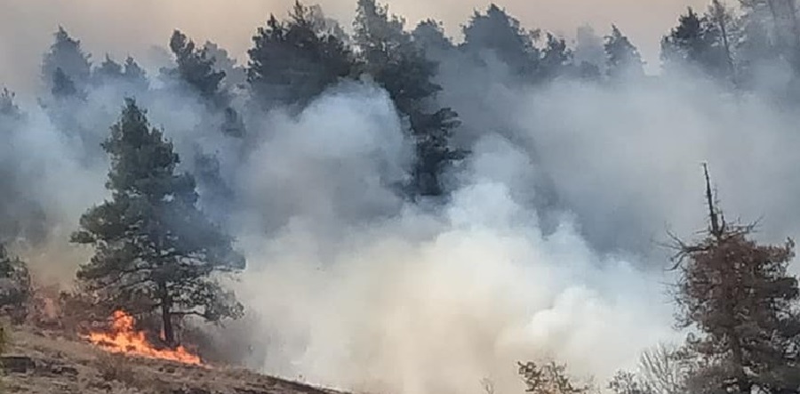 ओइता आगलागीमा उद्धार द्रुत, सुरक्षा प्राथमिकतामा