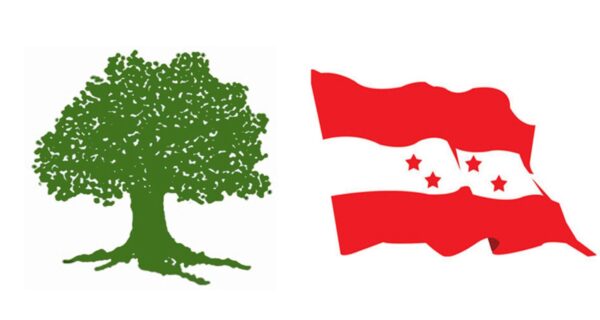 विशेष महाधिवेशनका लागि कांग्रेसमा आज विशेष सभा