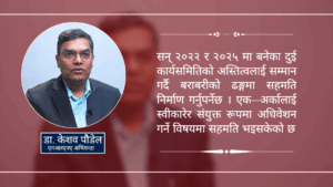 एनआरएनए एकता अन्तिम चरणमा, नेतृत्व तहलाई ‘इगो’ त्याग्न आग्रह