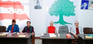 राष्ट्रिय सभा र प्रतिनिधिसभा निर्वाचनमा भाग लिने कांग्रेसको निर्णय