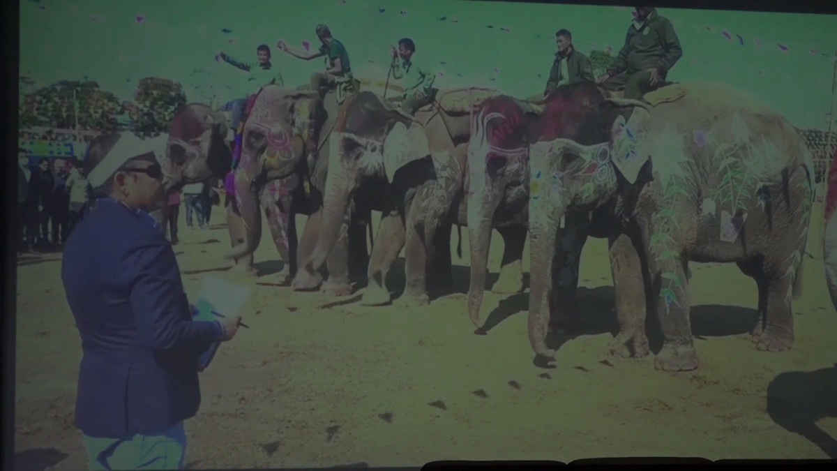 १९औँ चितवन हात्ती तथा पर्यटन महोत्सव अगामी पुस १३ देखि