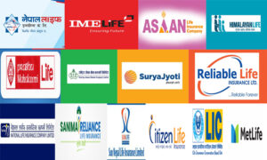 चालु आर्थिक वर्षको प्रथम त्रैमास अवधिमा जीवन बीमा कम्पनीहरुको लगानी ८ खर्ब नजिक पुग्याे, कसकाे कति ?